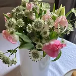 Val De Loire Hotel Tours