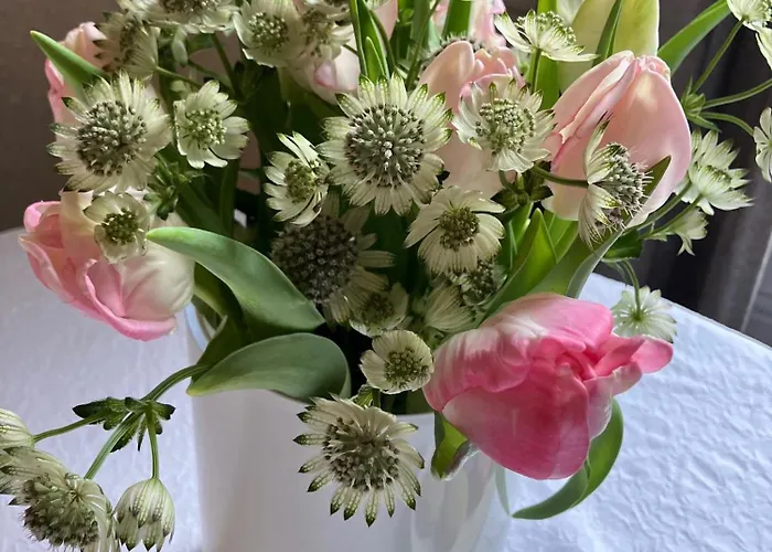 瓦勒德洛尔酒店 酒店 图尔